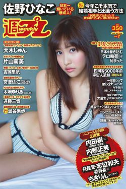 芭比之完美圣诞